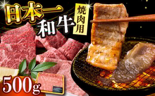 【A4～A5】長崎和牛焼肉用　500g【株式会社 MEAT PLUS】 [DBS001]長崎和牛 和牛 国産 牛肉 長崎和牛 焼肉用　500g 長崎和牛 焼肉用　500g 1万円 以上