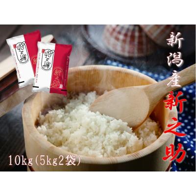 ふるさと納税 阿賀野市 【令和7年産新米】【生産者直送】阿賀野市産「新之助」10kg