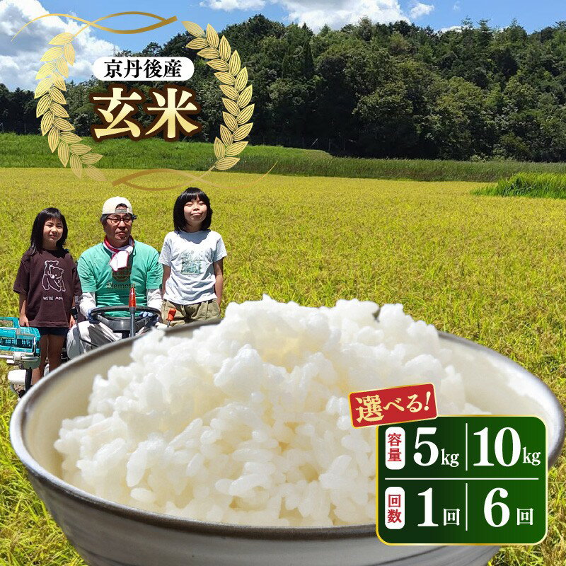 【ふるさと納税】京都農家直送／先行予約【玄米】京都 丹後産コシヒカリ 玄米 5kg 10kg 1回 6回　選べる 内容量 回数 定期便 ふるさと納税 米 お米 玄米 コシヒカリ 2025年度産 ふるさと納税 玄米 ふるさと納税 玄米 10kg ふるさと納税 玄米 定期便 農家応援 生産者応援
