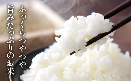 【定期便】※令和7年 新米予約※特Aランク特別栽培米　コシヒカリ　5kg（全6回） | 兵庫県 丹波篠山市 