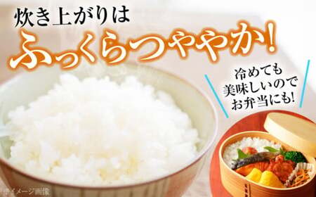 こしひかり 3kg×2袋 計6kg [APAJ007] こしひかり