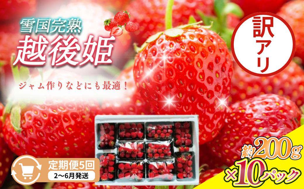 
                  先行予約  定期便 5回【2～6月発送】訳あり越後姫 約200g×10定期配送 越後姫 えちごひめ 苺 いちご 訳あり 新潟 苺の花ことば
                