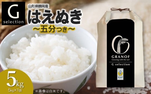 【令和7年産】【新米】  Gセレクション はえぬき 5kg(5kg×1) 【五分つき】山形県鶴岡市産　株式会社グラノフ