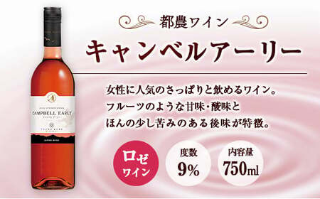 □【大阪屋】宮崎産ワイン　2種セット