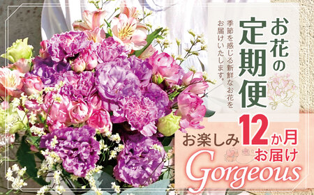 お楽しみ！ 12か月 お届け お花 の 定期便 「Gorgeous」 |  花 ブーケ タイプ 高さ45cm-50cm 本数15-20本