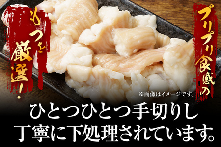【訳あり】 博多味噌もつ鍋 10人前（2人前×5セット） MEAT PLUS CP048
