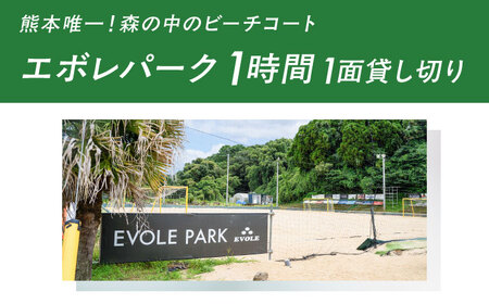エボレパーク 1面1時間利用 利用券 ビーチスポーツ ビーチバレー ビーチサッカー スクール ダイエット 運動 レクリエーション イベント フェス 菊陽町 熊本【エボレジャパン株式会社】[BHBC01