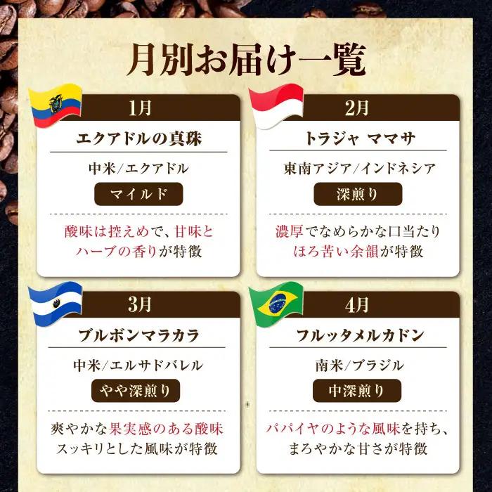 【全12回】能美島ビターブレンドセット コーヒー豆or粉 全13種 コーヒー[XBE085]