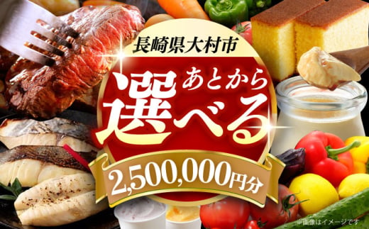 【あとから選べる】大村市ふるさとギフト250万円分 あとからセレクト 寄附後に選べる 後日選択 ゆっくり選べる あとから寄附 あとからギフト あとからセレクト あとから選べる [ACBI026]
