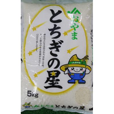 ふるさと納税 小山市 令和7年産　栃木県小山市産　とちぎの星　精米5kg