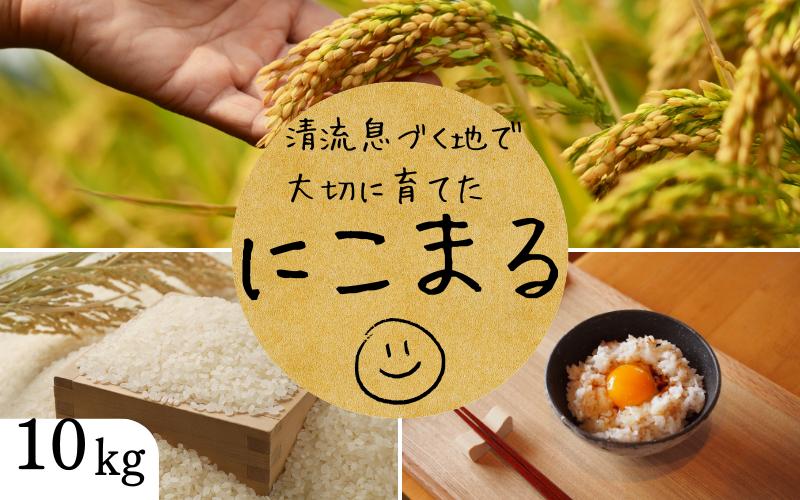 
                  秘境の地からお届けする あゆみファームのお米 にこまる 10kg【2025年10月下旬頃から順次発送】/ 米 お米 にこまる 10kg 精米 和歌山【aym014】
                