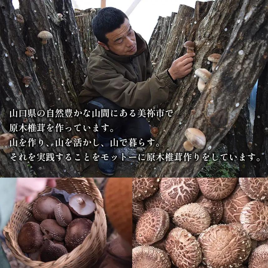 乾燥 肉厚椎茸 スライス&中葉セット