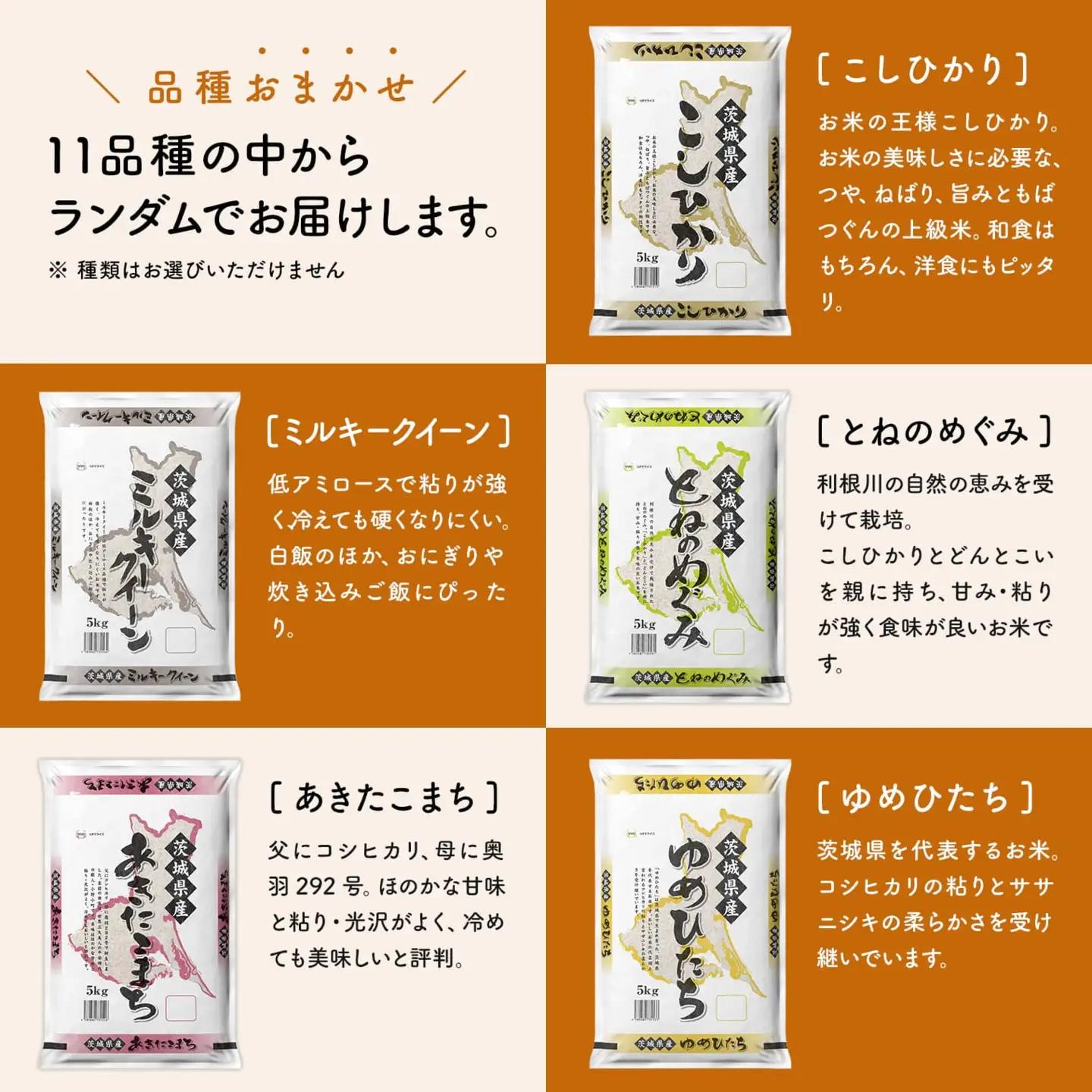白米 2種食べ比べ 10kg 令和8年6月内発送 茨城県産 令和7年産 精米 K2457