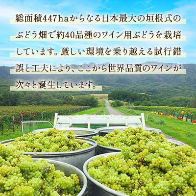ふるさと納税 浦臼町 鶴沼収穫ワイン【木樽発酵ピノ・ブラン】白ワイン 2023年産 |  | 02