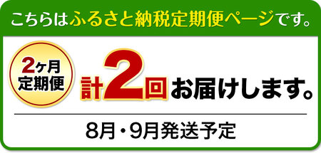 【先行予約】【2ヶ月定期便】 シャインマスカット晴王 はれおう 2房入り(1房600g以上) 化粧箱入【配送不可地域あり】