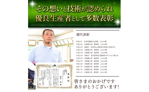 【先行予約】【2月発送】冷凍 いちご とちあいか 2kg カット済み | 2027年発送 いちご 冷凍 ヘタ取り 苺 冷凍いちご 冷凍イチゴ 冷凍苺 果物 デザート フルーツ スイーツ アイス ジャム
