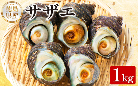 天然サザエ 1kg 【 サザエ 】