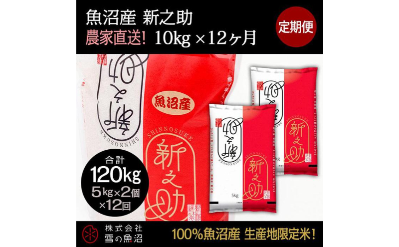 【令和7年産】定期便！魚沼産 新之助【合計120kg】10kg×12回 お米 米 こめ コメ 