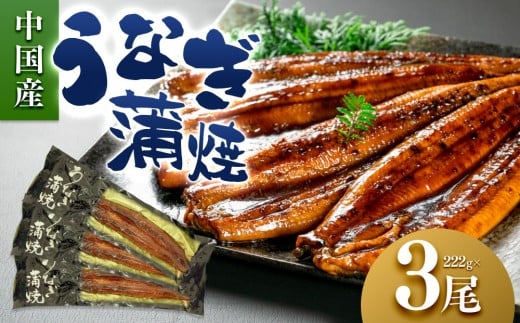 うなぎ蒲焼（中国産鰻 222g×3尾）