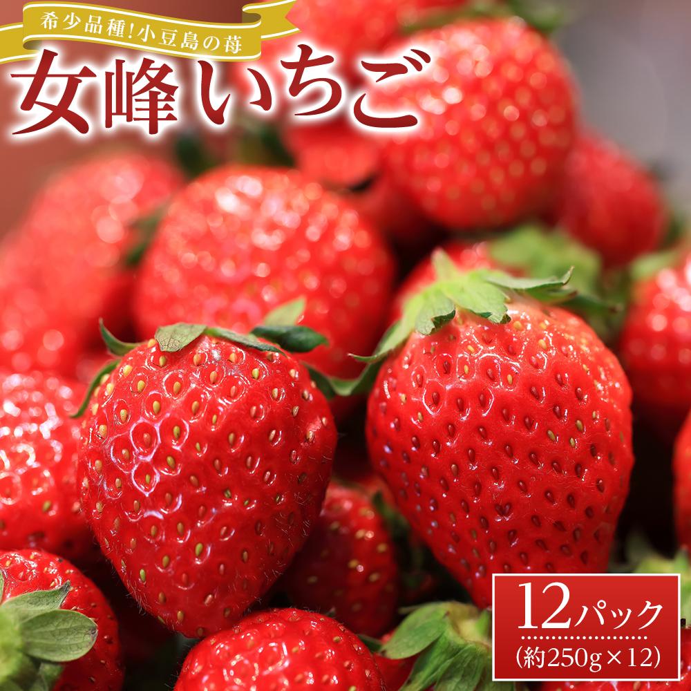 【ふるさと納税】【2027年2月中旬より発送】希少品種！小豆島の苺「女峰」12パック(1パック約250g) | いちご 苺 フルーツ 果物 くだもの 青果 人気 小豆島