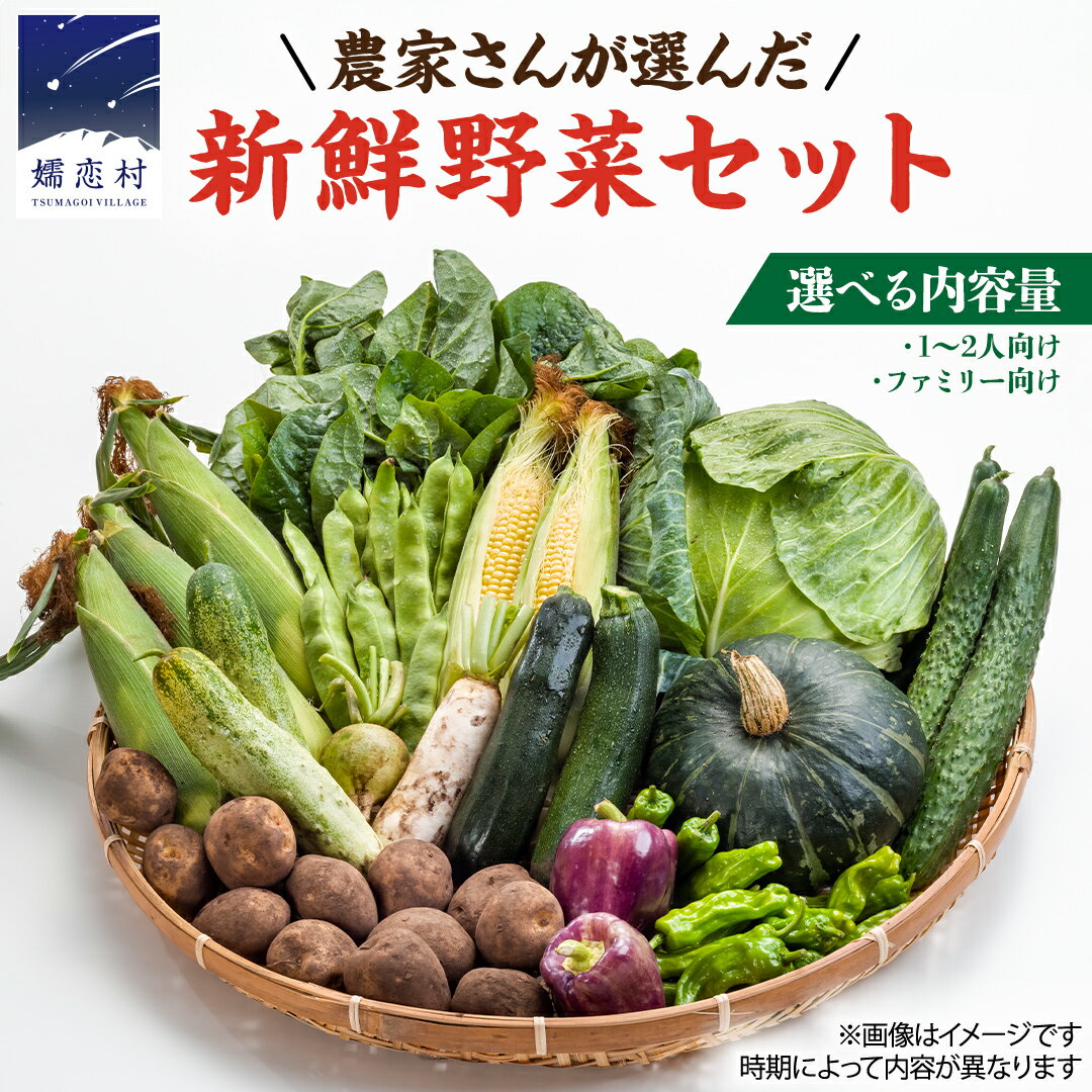 【ふるさと納税】 ≪ レビューキャンペーン ≫ ＜選べる内容量＞【 9/23入金確認まで 】 嬬恋キャベツ 入り！農家さんが選んだ 新鮮 高原 野菜 セット 先行予約 キャベツ 群馬 野菜 セット 産地直送 詰め合わせ アソート 期間限定 少量 野菜 新鮮 季節の野菜 旬の野菜