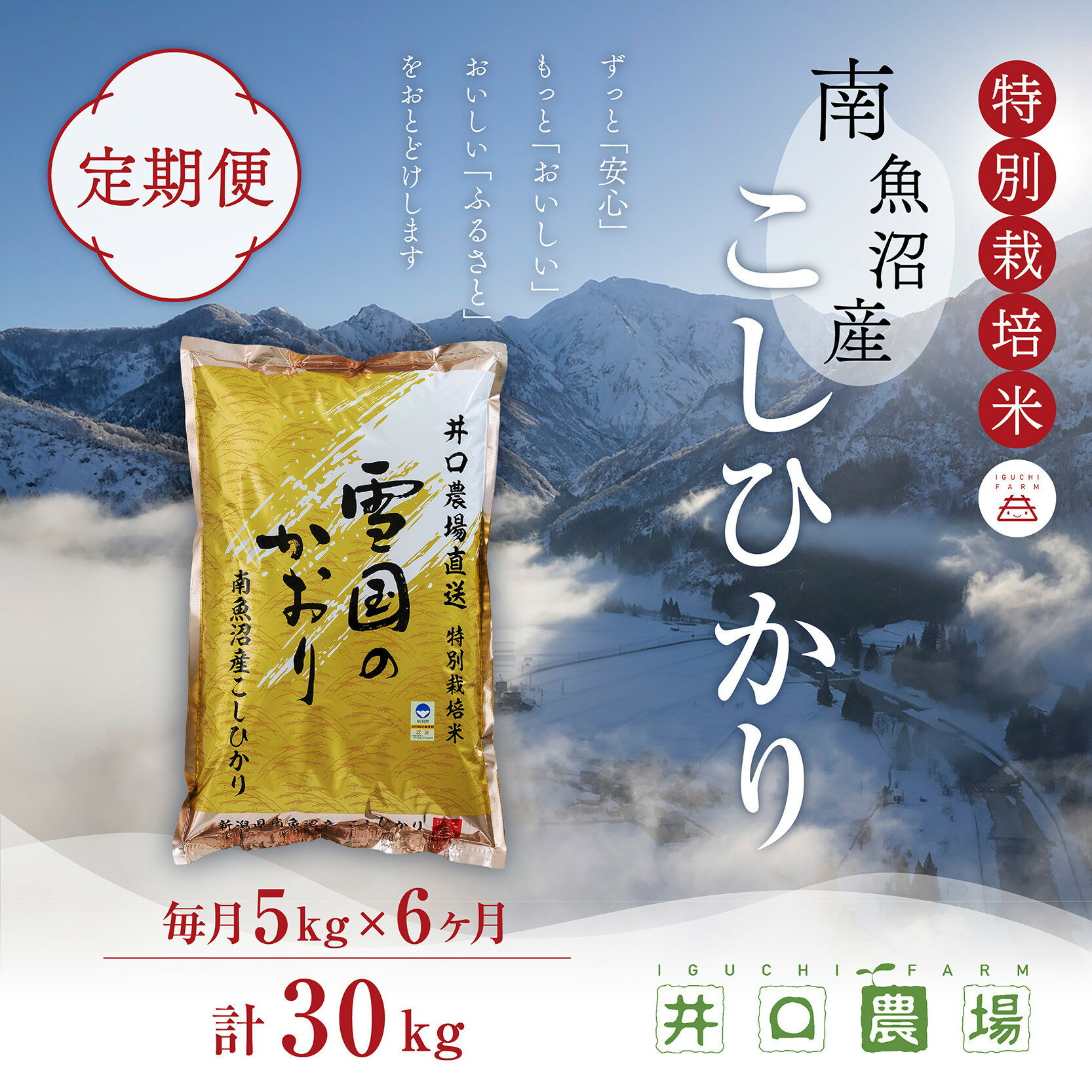 【ふるさと納税】【令和7年産】【定期便】5kg×6ヶ月　南魚沼産コシヒカリ 井口農場 こだわりの 特別栽培米【定期便 銘柄米 ブランド米 精米 こしひかり コシヒカリ 魚沼産 新潟米 新潟県産 産地直送 ご飯 御飯 ごはん お米 米 こめ コメ】