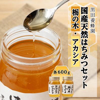 ふるさと納税 鹿沼市 ＜創業100年＞国産天然はちみつ600gおすすめセット