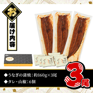 鹿児島県産うなぎ蒲焼セット＜特大＞(計480g・ 約160g×3尾) タレ・山椒付き 鰻 ウナギ 国産【西日本養鰻】A506