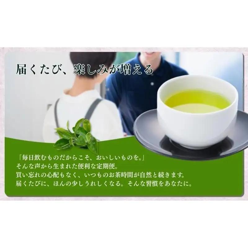 お茶 いしだ茶屋 上煎茶 定期便 6ヵ月 お茶