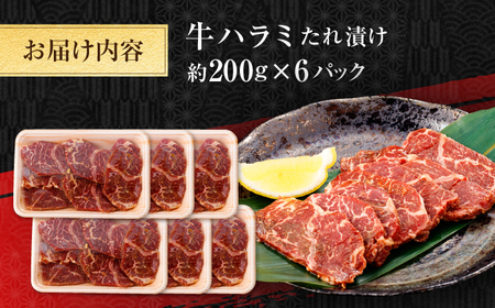 牛ハラミ　たれ漬け 約200g×6 総計約1.2kg / 訳あり 数量限定 小分け 柔らかい！！ 【(有)山重食肉】[ATAP146]
