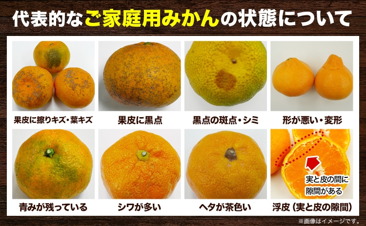 ＜先行予約＞家庭用　大きな有田みかん5kg+250g（傷み補償分）【わけあり・訳あり】【光センサー選果】 池田鹿蔵農園@日高町（池田農園株式会社）《11月中旬-1月下旬頃出荷》和歌山県 日高町