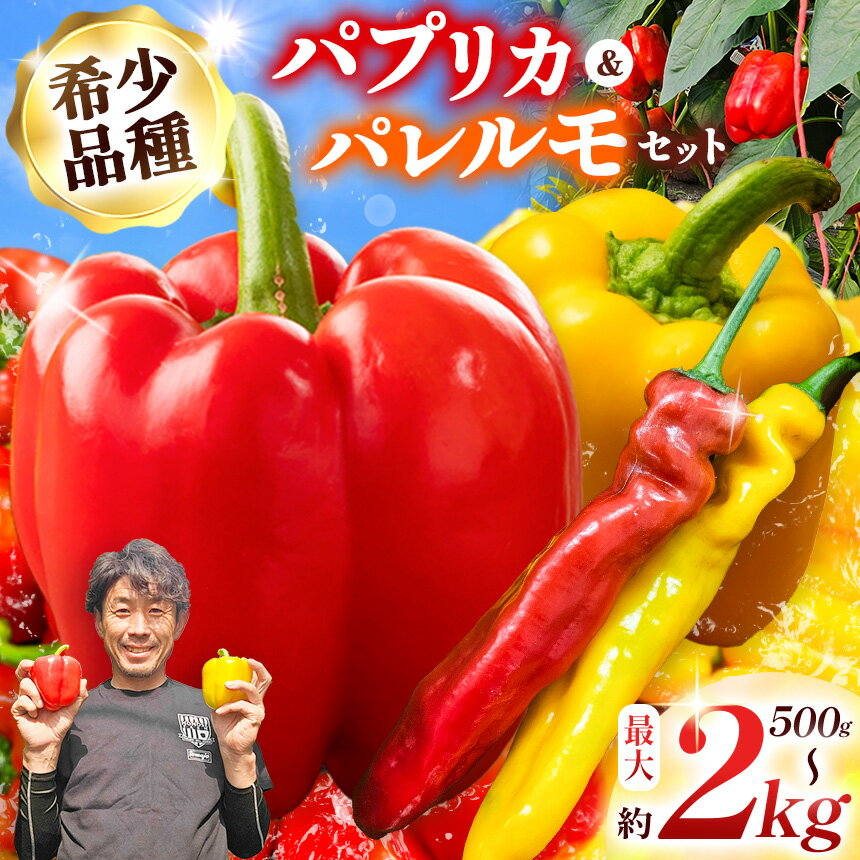 【先行受付：2026年発送】【ふるさと納税】【選べる内容量】パプリカ＆パレルモ(希少品種)　約500g～2kg | パプリカ パレルモ 野菜 希少 ジューシー フレッシュ ヘルシー ふるさと納税 信州 長野県 松本市