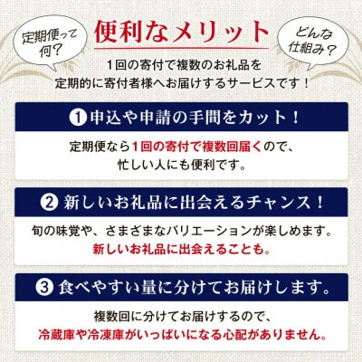 【毎月定期便】オリオン ザ・プレミアム(350ml×24本)全12回【4062060】