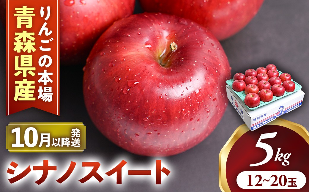 
            【2026年産・先行予約】りんご【シナノスイート】約5kg（12～20玉）★2026年10月中旬～11月下旬頃まで発送予定★ りんご 林檎 リンゴ 国産 シナノスイート フルーツ 果物 贈答 土産 青森県 三戸町 AK-16-009
          