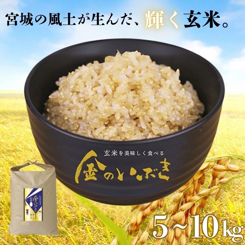 【ふるさと納税】 玄米 米 金のいぶき 5kg 10kg 選べる容量 | 米 お米 こめ コメ 玄米 ご飯 ライス 産地直送 数量限定 ブランド米 宮城県産 送料無料