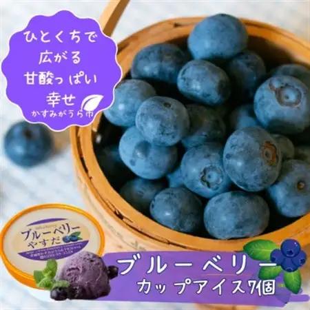 『ブルーベリーやすだ』の濃厚ブルーベリーアイス　7個セット_菓子・スイーツ アイス・ジェラート  _【配送不可地域：離島】【1452589】