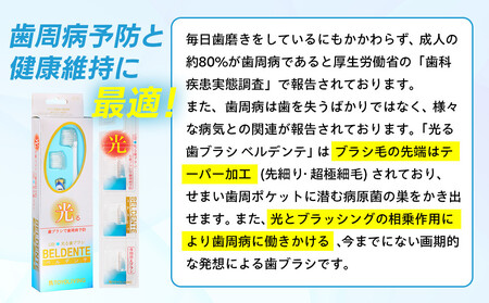 光る歯ブラシ　ベルデンテと替えブラシのセット AOR0001