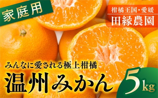 【先行予約】【家庭用】温州みかん 5kg ｜ 柑橘 みかん ミカン フルーツ 果物 愛媛　※離島への配送不可　※2024年11月上旬～12月下旬頃に順次発送予定