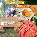 【ふるさと納税】ボウケンノモリささぐり アスレチック体験＋BBQセット 4名分 体験 国産 国産牛 牛肉 厳選食材 BBQ バーベキュー アクティビティ アスレチック スポーツ アウトドア レジャー 体験チケット 金券 クーポン 利用券 旅行 観光 家族旅行 友人 知人 送料無料 zz008