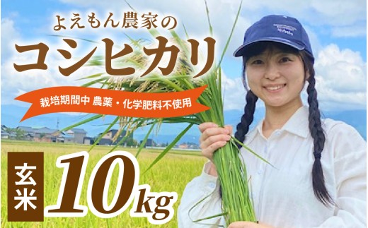 【先行予約】【令和8年産 新米】よえもん農家の玄米 10kg 栽培期間中農薬・化学肥料不使用