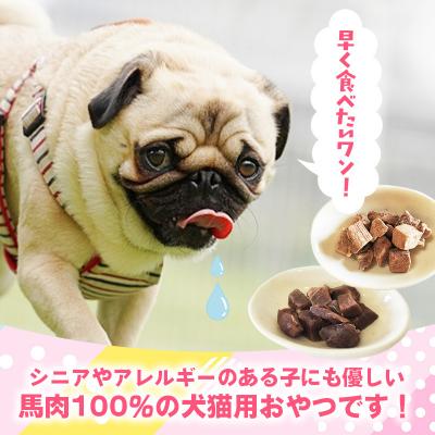 ふるさと納税 甲佐町 【定期便6回】馬肉100%犬猫用おやつ(25g×6袋) |  | 02