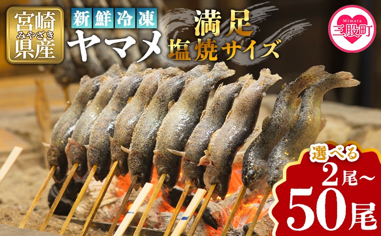 
                  選べる内容量＜新鮮冷凍ヤマメ 2尾/10尾/30尾/50尾＞ 選べる 数量 国産 九州産 尺ヤマメ 山女魚 水産物 魚 魚介 川魚 養殖魚 塩焼き バーベキュー BBQ【MI770-sk_oya】【有限会社しゃくなげの森】
                
