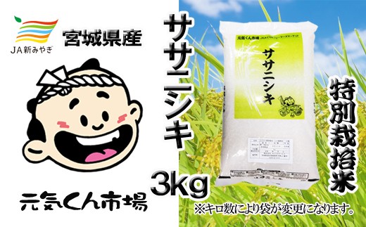 
                  元気くん市場　ササニシキ 3kg  /  精米 小分け 人気 ランキング  お米 米 ささにしき【mygs004】
                