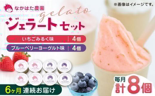【限定数量】【全6回定期便】熊本県産 いちご ブルーベリー ジェラート セット 計8個 ( 2種 × 各4個 ) アイス カップ 熊本 山都町 冷凍 産地直送 熊本県産 山都町産 イチゴ 苺 フルーツ 果物 【なかはた農園】[YBI039]