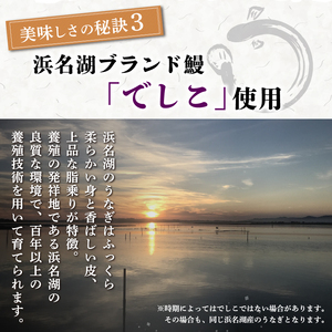 【2025年12月～順次発送】《数量限定》うなぎ蒲焼 2人前 2尾 冷蔵 三島名物 老舗 鰻問屋 うなぎ 蒲焼き 鰻 ウナギ 真空パック 浜名湖 土用丑の日 贈答用 惣菜 うな重 うな丼 伝統 贈り物