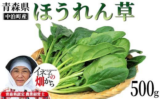 ほうれん草 約500g 【イネ子の畑から】 新鮮 産地直送 サラダ おひたし お味噌汁 スムージー ほうれん草 ジュース ほうれんそう F6N-287