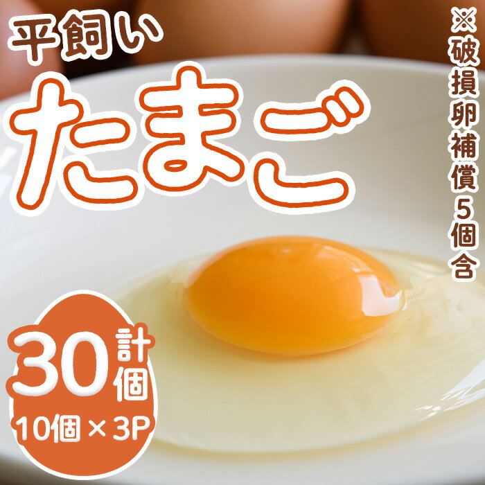 【ふるさと納税】香川県産 平飼いたまご(計30個・10個×3パック)国産 たまご 卵 鶏卵 産地直送 卵かけご飯 卵焼き【man120】【翔洋舎】