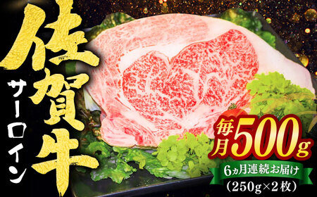 【全6回定期便】佐賀牛サーロインステーキ 計3kg（250g×2枚×6回） / 佐賀県 / ヤマサン食品 [41ADAA009]