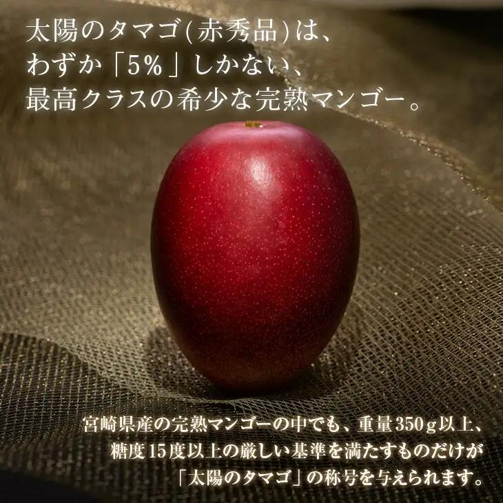 オンライン決済限定 完熟マンゴー 太陽のタマゴ 赤秀品 4L × 2玉 期間限定 数量限定 マンゴー 宮崎 フルーツ 果物 くだもの 国産 食品 先行予約 2026 令和8年発送 濃厚 デザート おや