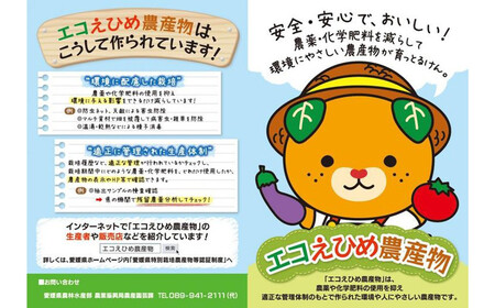 完熟手作りブルーベリージャム（180g入）3瓶セット メルファーふたがみ
